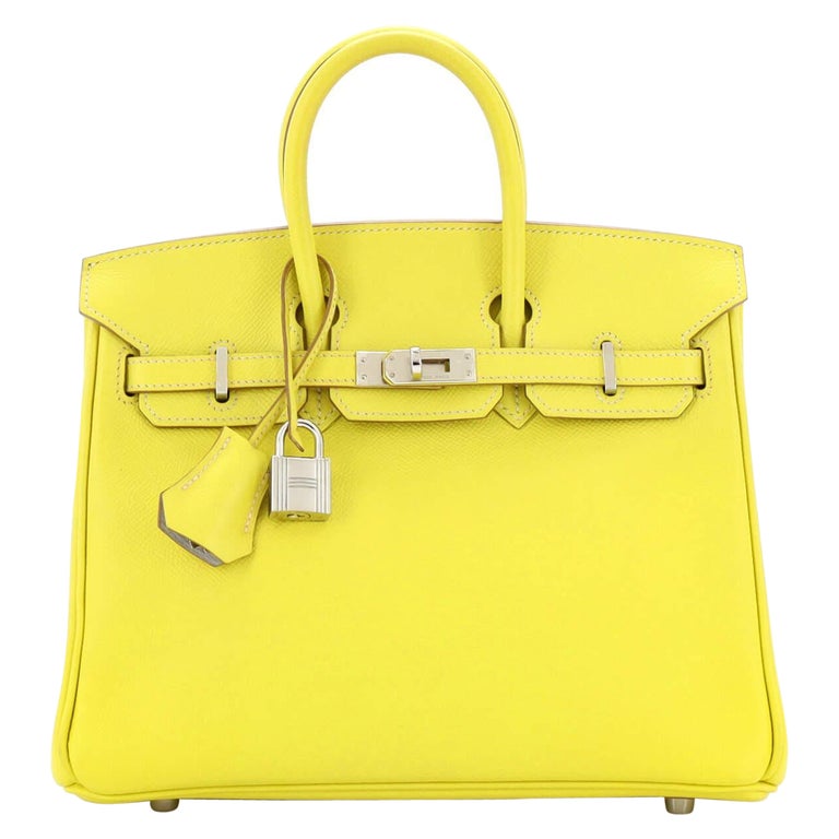 Hermes Birkin Sellier Bag Bicolor Epsom with Brushed Gold Hardware 25 at  1stDibs