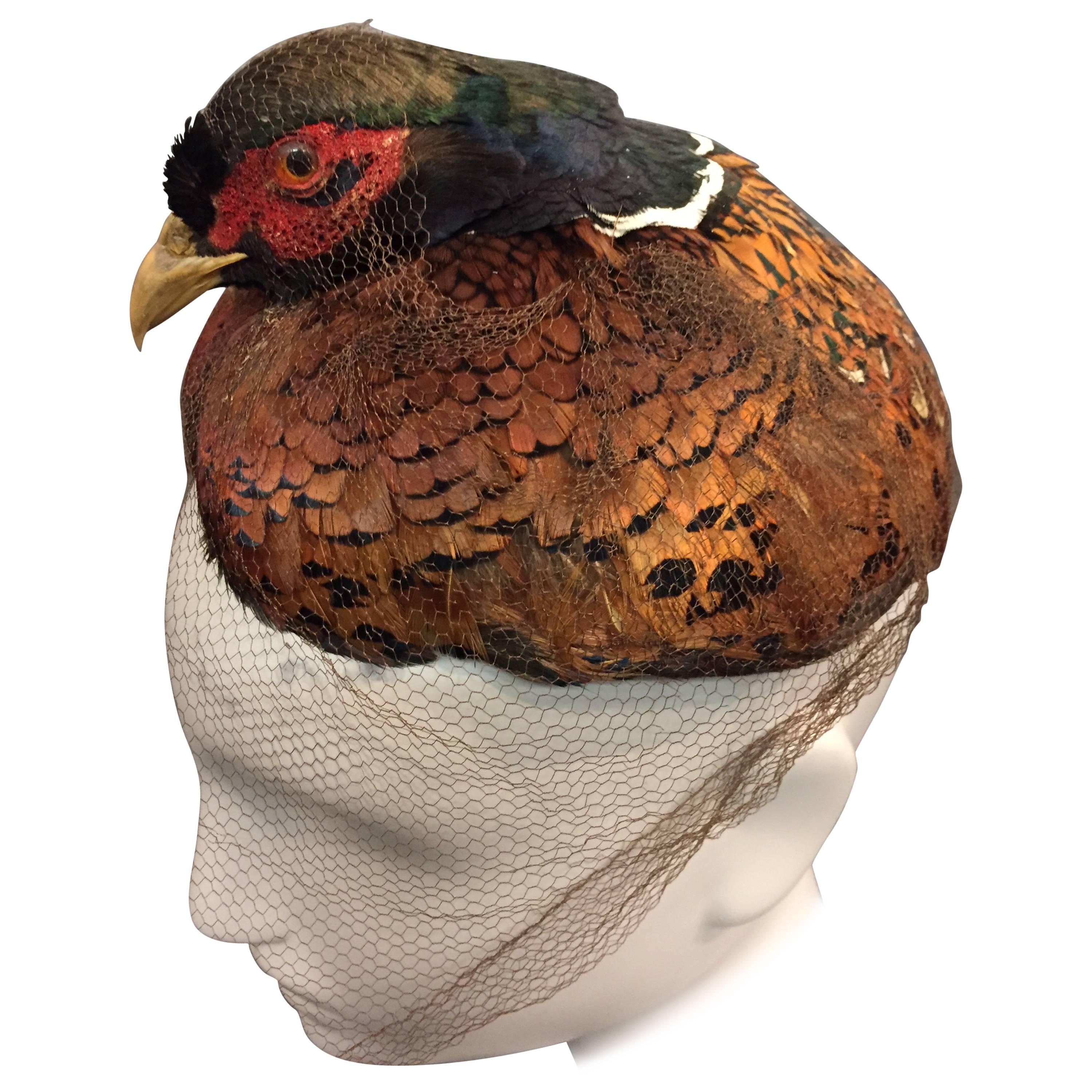 1950s Real Pheasant Taxidermy Hat w/ Veil