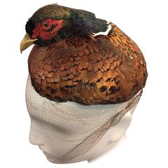 Vintage 1950s Real Pheasant Taxidermy Hat w/ Veil 