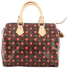 Louis Vuitton Speedy Handbag Limited Edition Cerises 25