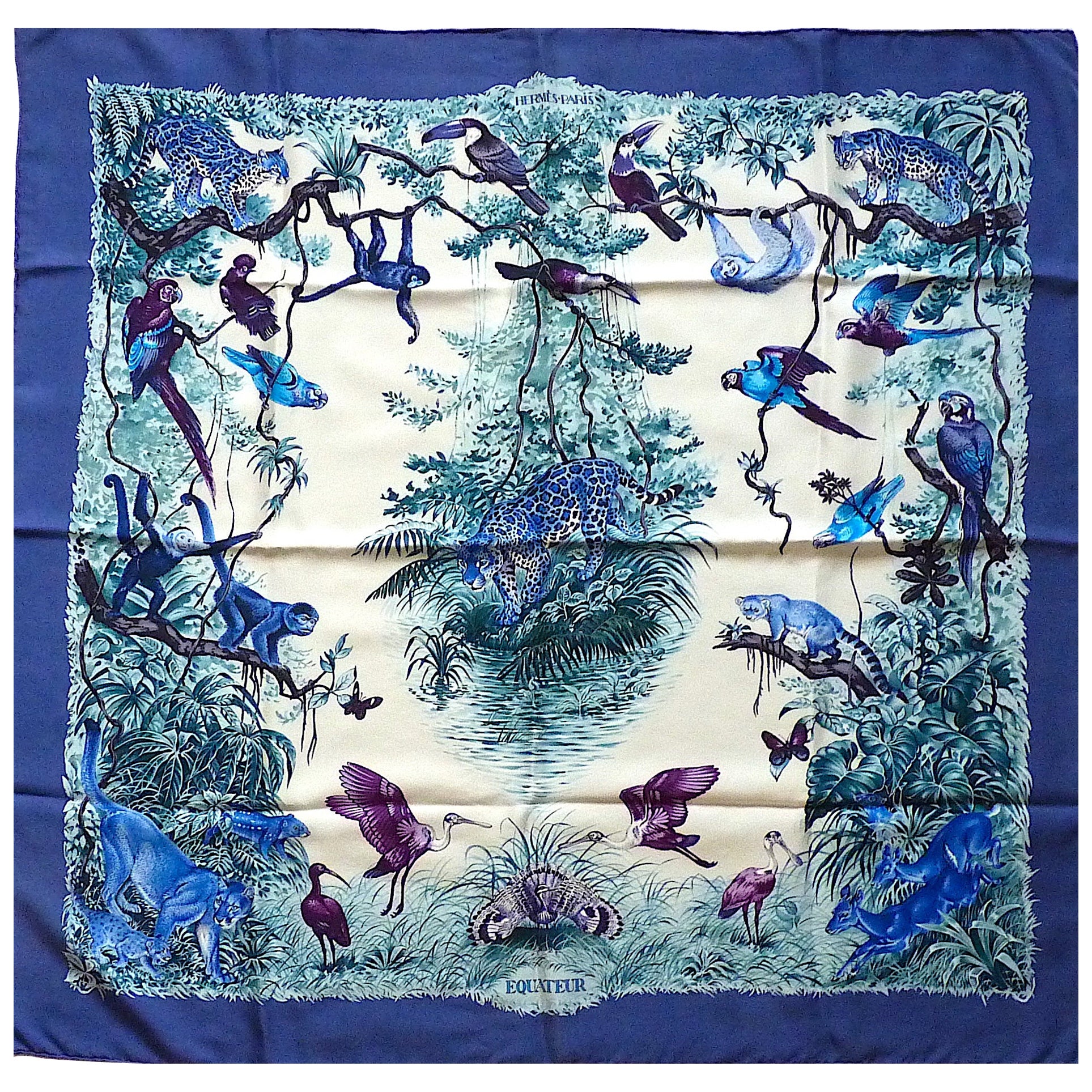 Hermes Scarf Equateur Wash Silk by Robert Dallet