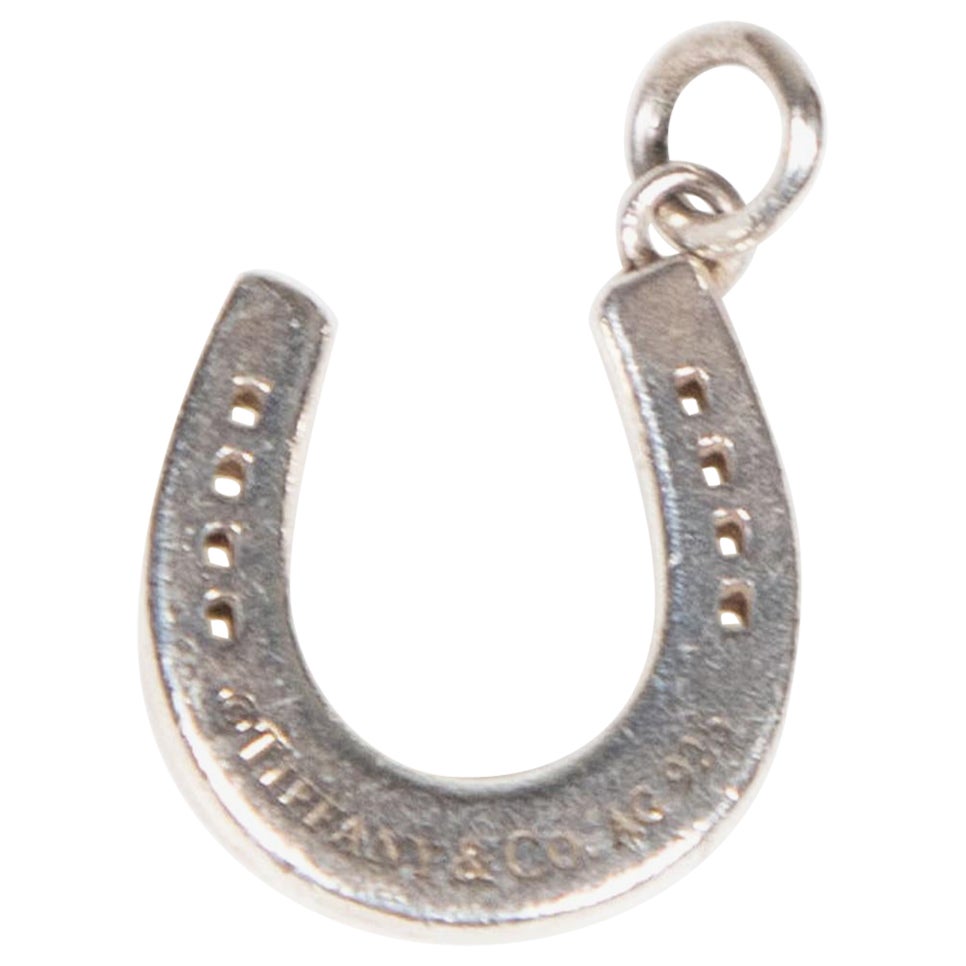 Zoë Chicco 14k Gold Itty Bitty Horseshoe Necklace – ZOË CHICCO