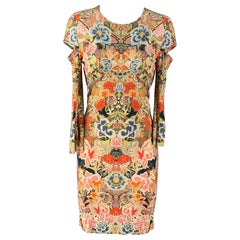 ALEXANDER MCQUEEN Size 6 Multi-Color Rayon Blend Floral Long Sleeve Dress