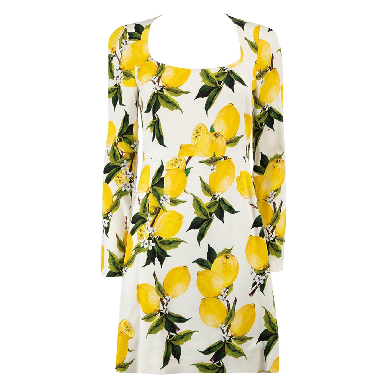 Dolce & Gabbana Lemon Print Long Sleeve Dress Size S For Sale