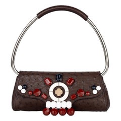 Prada Borsa Swing in pelle di struzzo marrone con Jewell SS 2003 Pezzo d'archivio