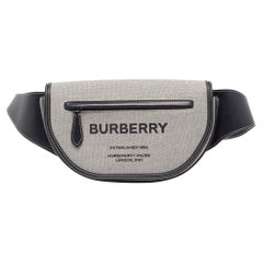 Burberry Grey/Black Canvas and Leather Small Olympia Bumbag