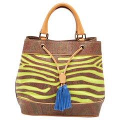 Etro - Borsa a secchiello in tela coates e pelle con stampa Paisley multicolore