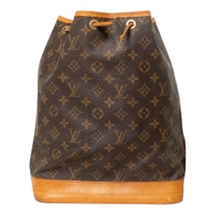 Borsa A Spalla Louis Vuitton Noè GM Monogram