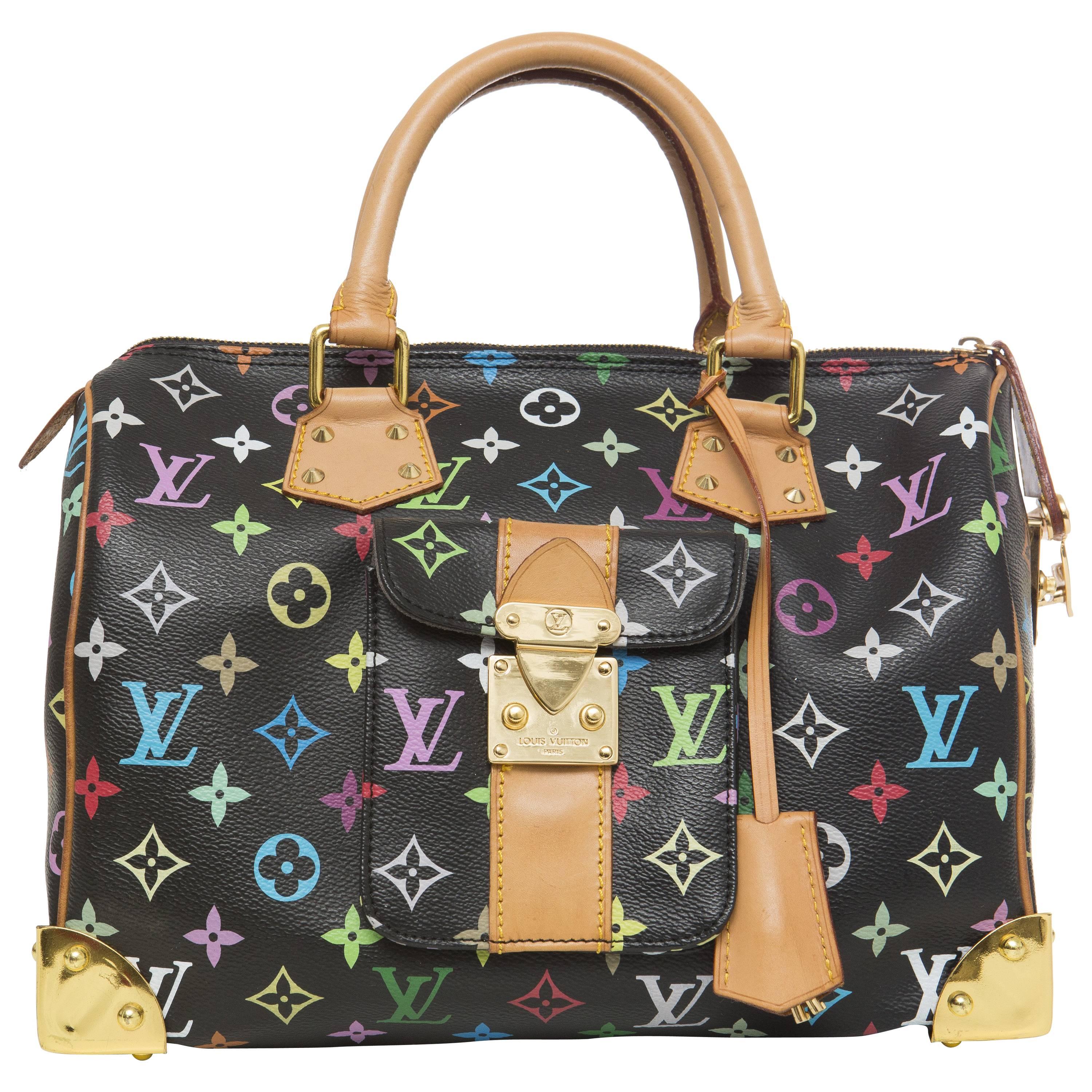 Louis Vuitton Limited Edition Takashi Murakami Collection Speedy 30 Hand Bag For Sale