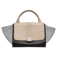Borsa A Mano Cèline Trapeze Pitone Tricolor