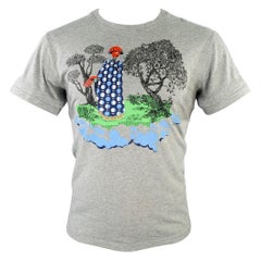 WALTER VAN BEIRENDONCK - Maglietta in cotone con grafica multicolore grigia Taglia S