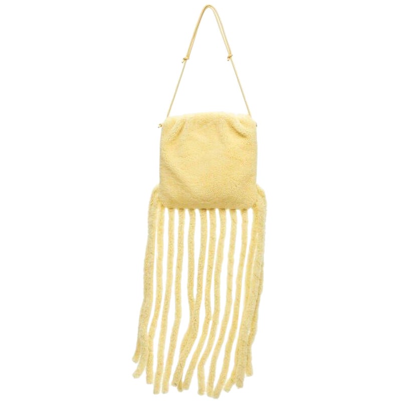 rare BOTTEGA VENETA Daniel Lee Runway beige shearling fringe crossbody clutch For Sale