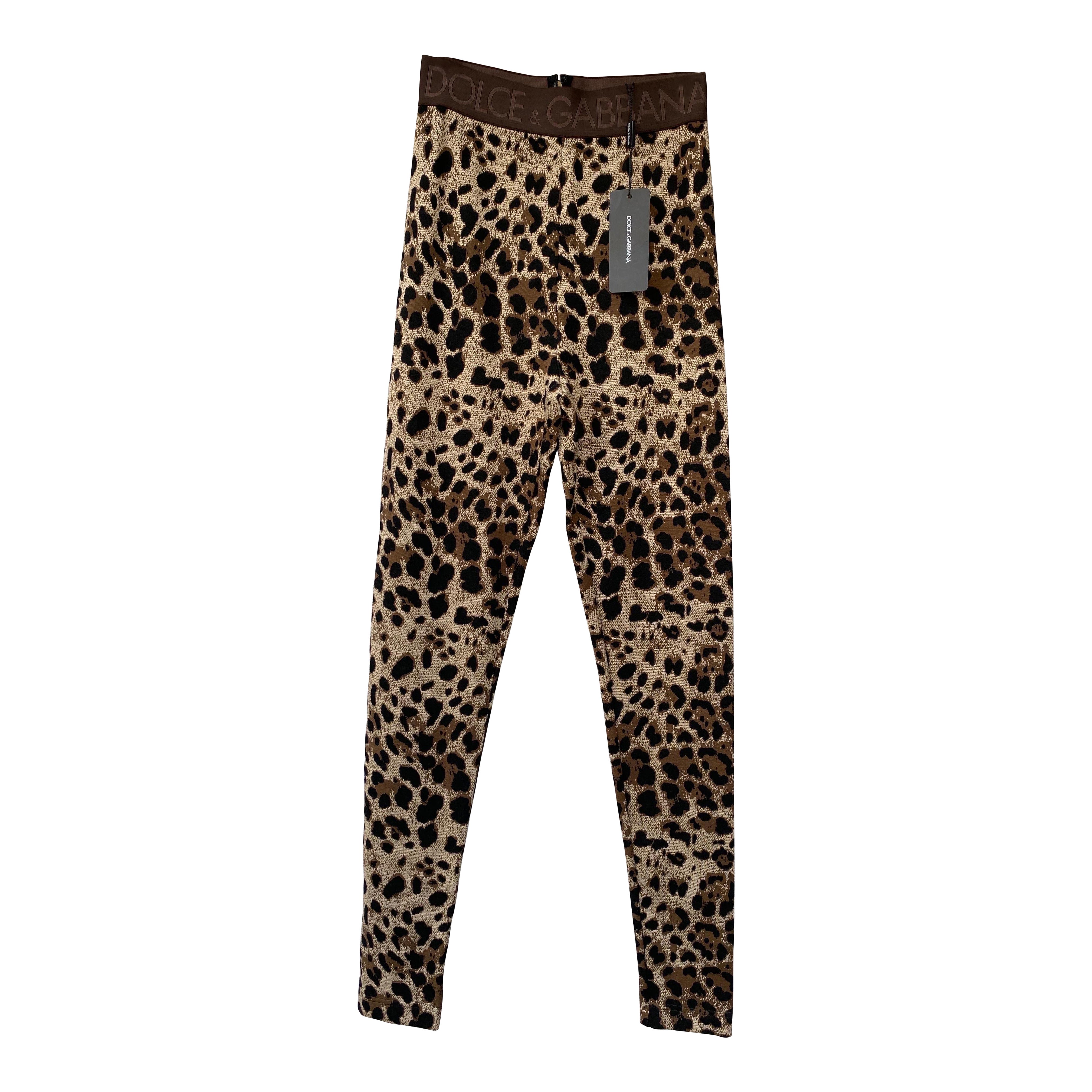 Dolce & Gabbana animalier jersey leggings trousers