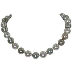 Elegant Faux 14mm South Sea Tahitian Multi Shaded Pearl 18’’ Necklace 7