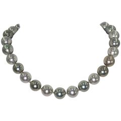 Elegant Faux 14mm South Sea Tahitian Multi Shaded Pearl 18’’ Necklace