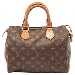 Louis Vuitton Monogram Canvas Speedy 25 Bag