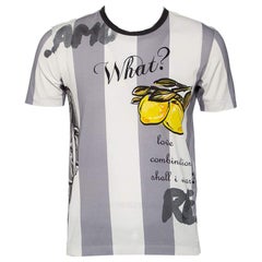Dolce & Gabbana White & Grey Striped Lemon Printed Cotton Crewneck T-Shirt M