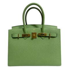 Stunning Rare Hermes Birkin 30 Sellier Vert Criquet gold hardware