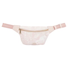 DIOR 2022 pink Toile De Jouy print gold logo canvas belt bag