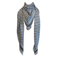 Dior stole