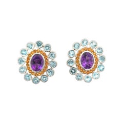 6.45 Carat Carnation Round Multi Gems Studs Silver Earring for Grandma