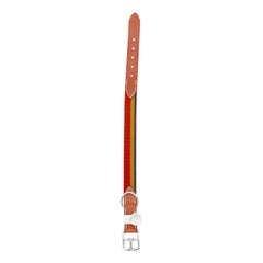 HERMES Rocabar III Dog Collar brown leather PHW logo rainbow