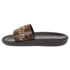 Louis Vuitton Brown Monogram Canvas Sunbath Slide Sandals Size 40
