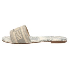 Dior Multicolor Embroidered Canvas Dway Flat Slides Size 38.5