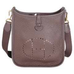 Hermès Rouge Sellier Clemence Mini Evelyne TPM GHW