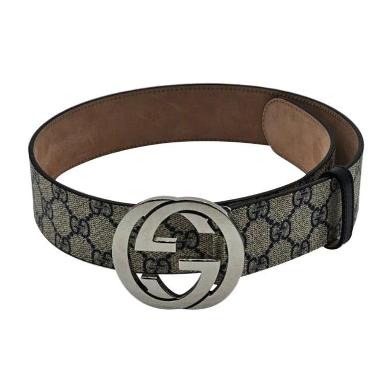 Gucci GG Supreme Blondie Brown Blue Ceinture en vente