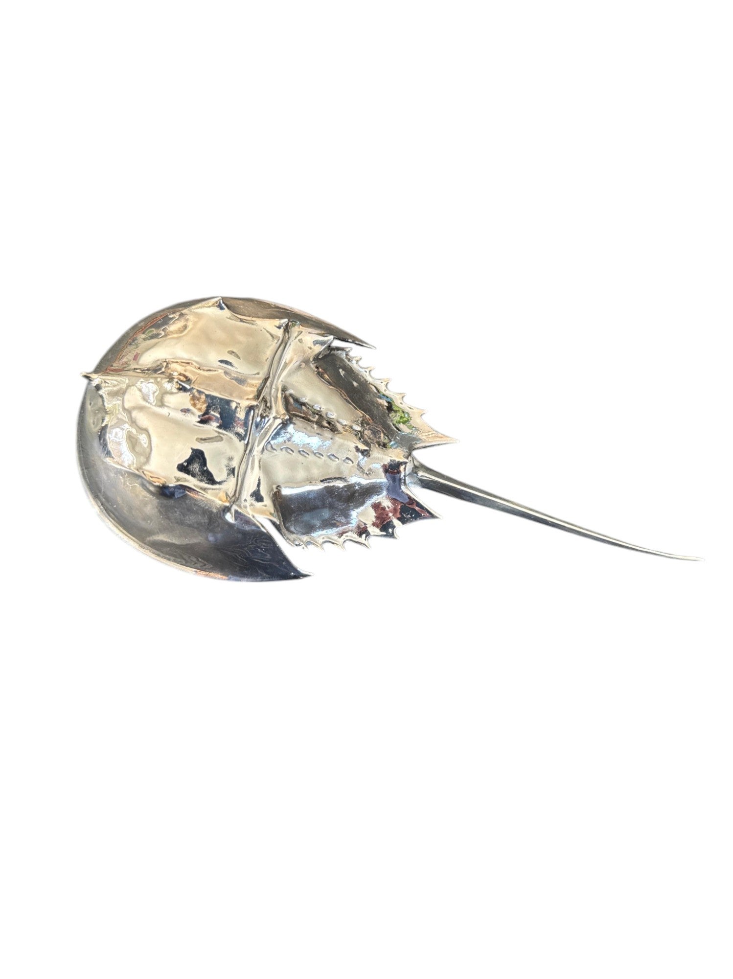 Cangrejo herradura de plata moldeado a partir de la criatura original