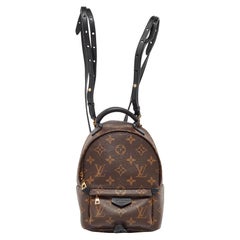 Louis Vuitton Monogram Canvas Mini Palm Springs Backpack