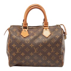 Louis Vuitton Monogram Canvas Speedy 25 Bag