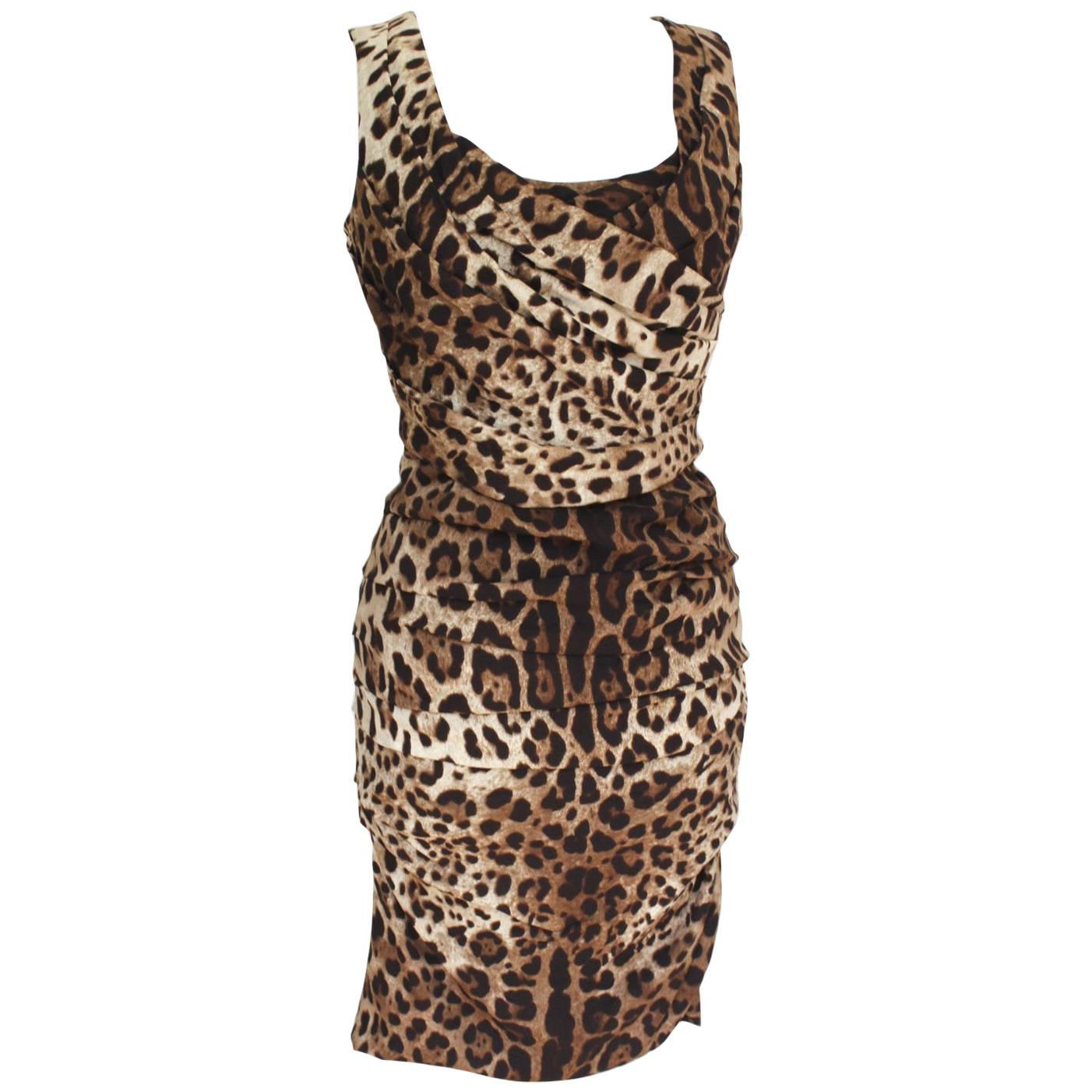 £1100 Dolce & Gabbana Leopard Print Dress 44 UK 12   