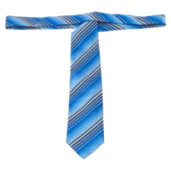Ermenegildo Zegna Blue Diagonal Striped Silk Tie