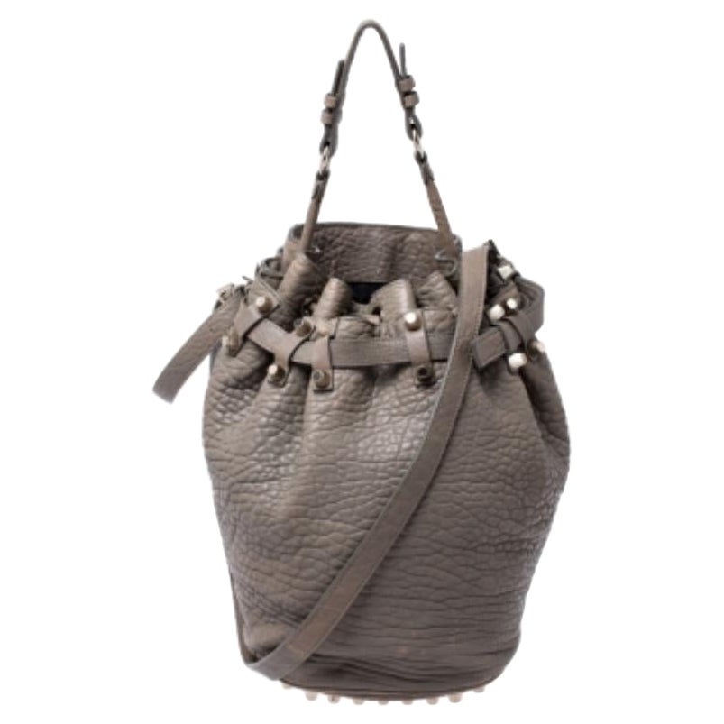 Alexander Wang Taupe Textured Leather Diego Bucket Bag im Angebot
