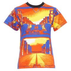 LOUIS VUITTON 2023 Salk Institute orange city print LV chain tshirt XS