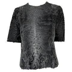 The Row Telleck Top Grey Persian Lamb Short Sleeve Pull On Silk Lined Top 36