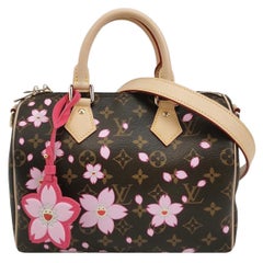 Louis Vuitton x Takashi Murakami Speedy 25 Cherry Blossoms on Monogram Crossbody