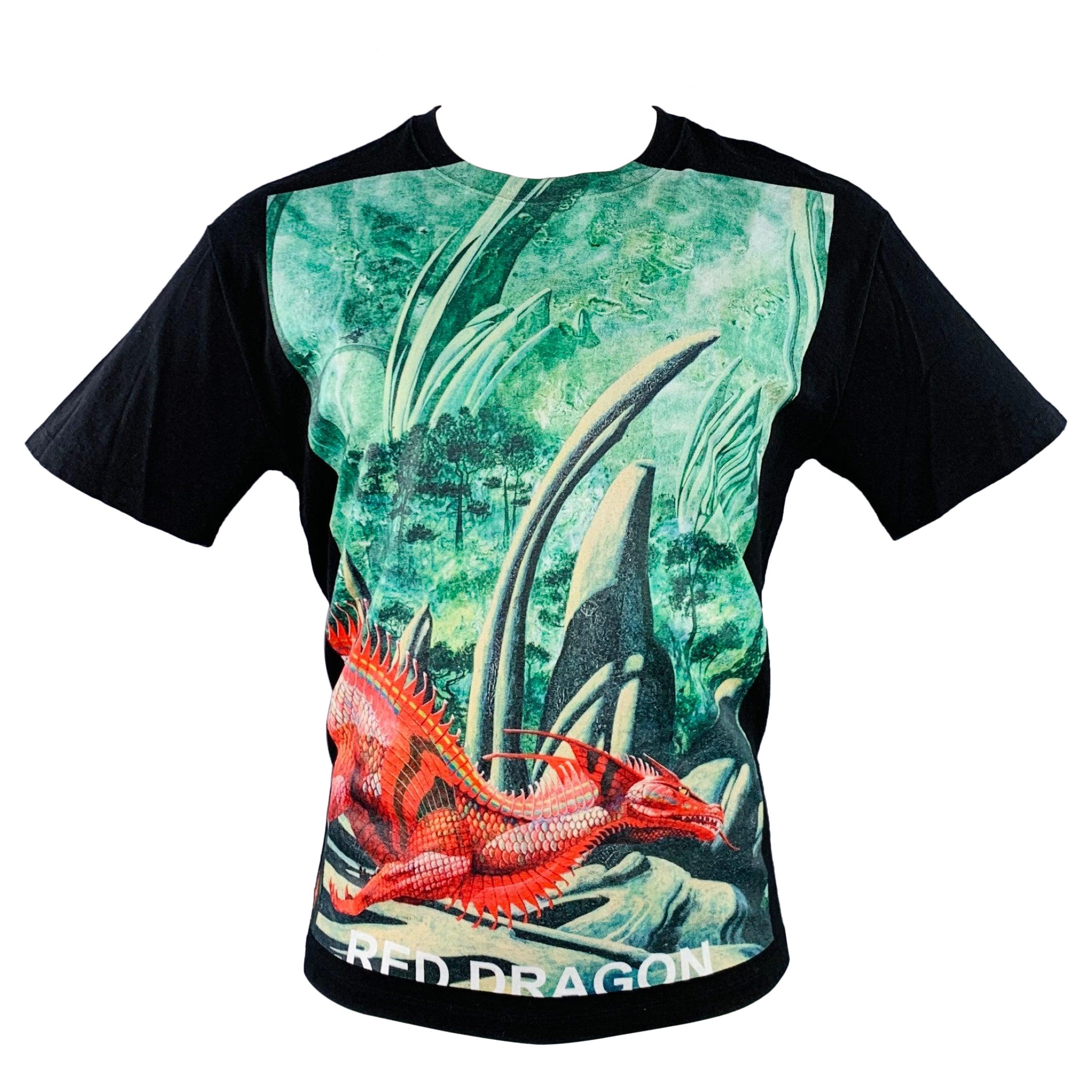VALENTINO 2019 Size S Black Green Red Dragon Graphic Cotton Crew Neck T-shirt en vente