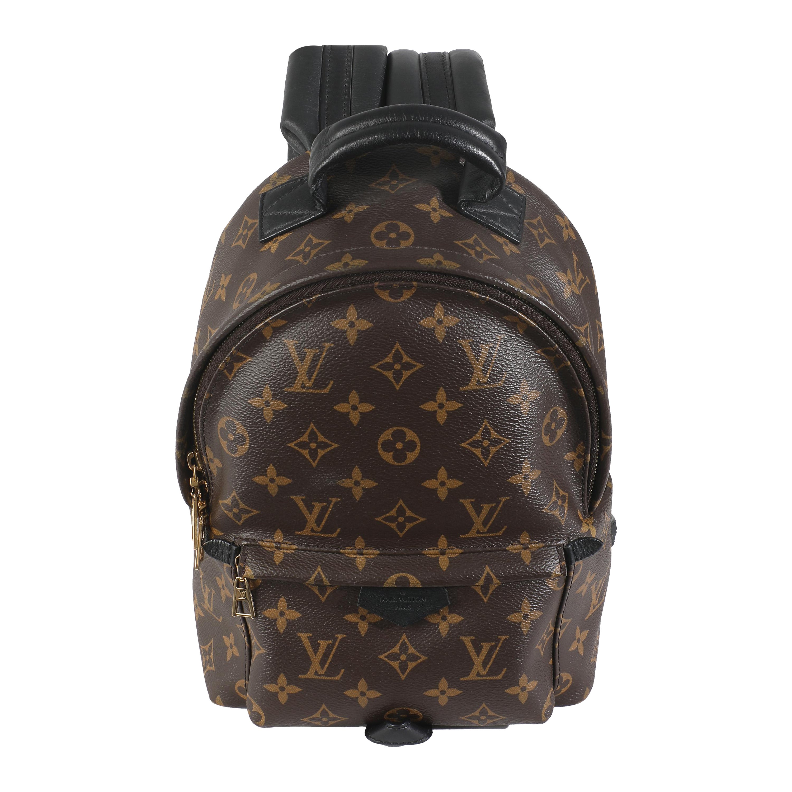 Louis Vuitton Monogram Canvas Palm Springs PM