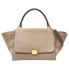Céline Medium Calf Leather Suede Whipsnake Taupe Trapeze Shoulder Bag