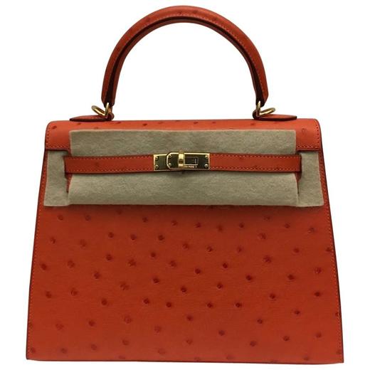 Hermes Kelly Handbag Brown Ostrich with Gold Hardware 25 Neutral 2194061