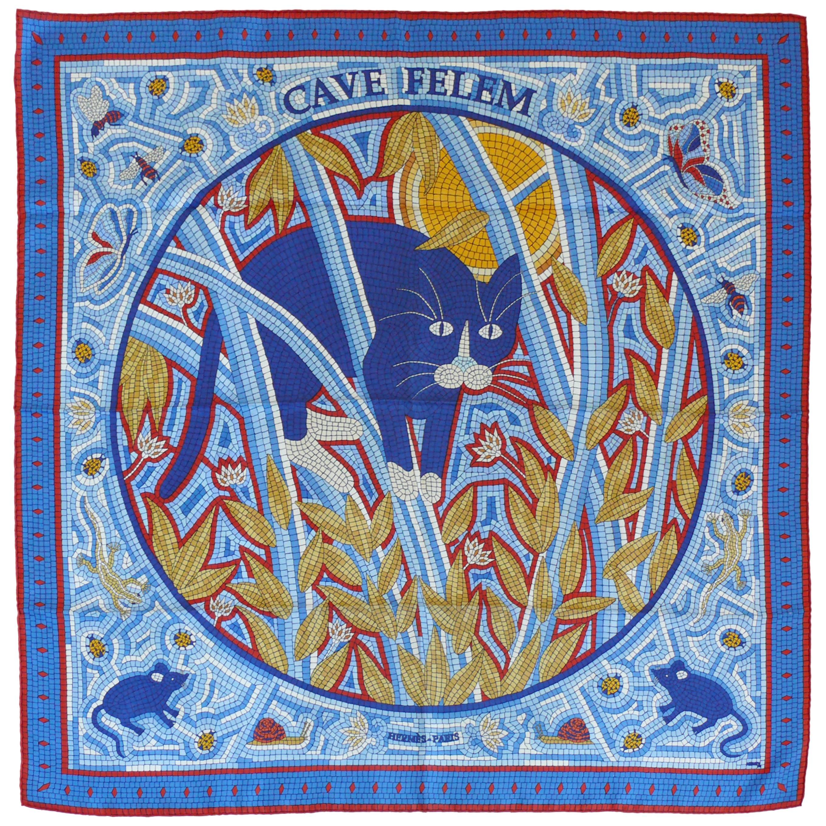 Hermès Vintage Rare Silk Carre Scarf "Cave Felem" by Christine Henry
