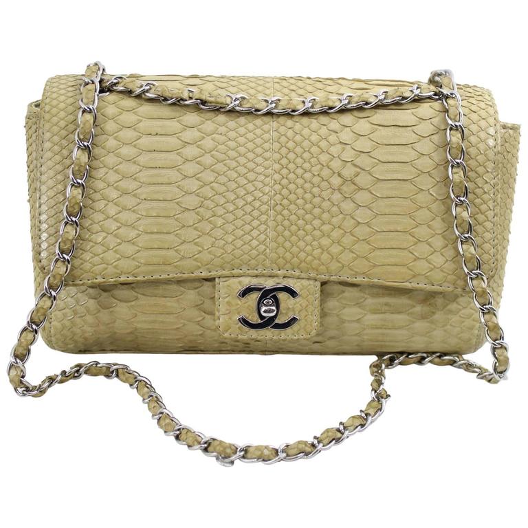 Chanel Timeless Bag in Exotic skin and stainless steel hardware at