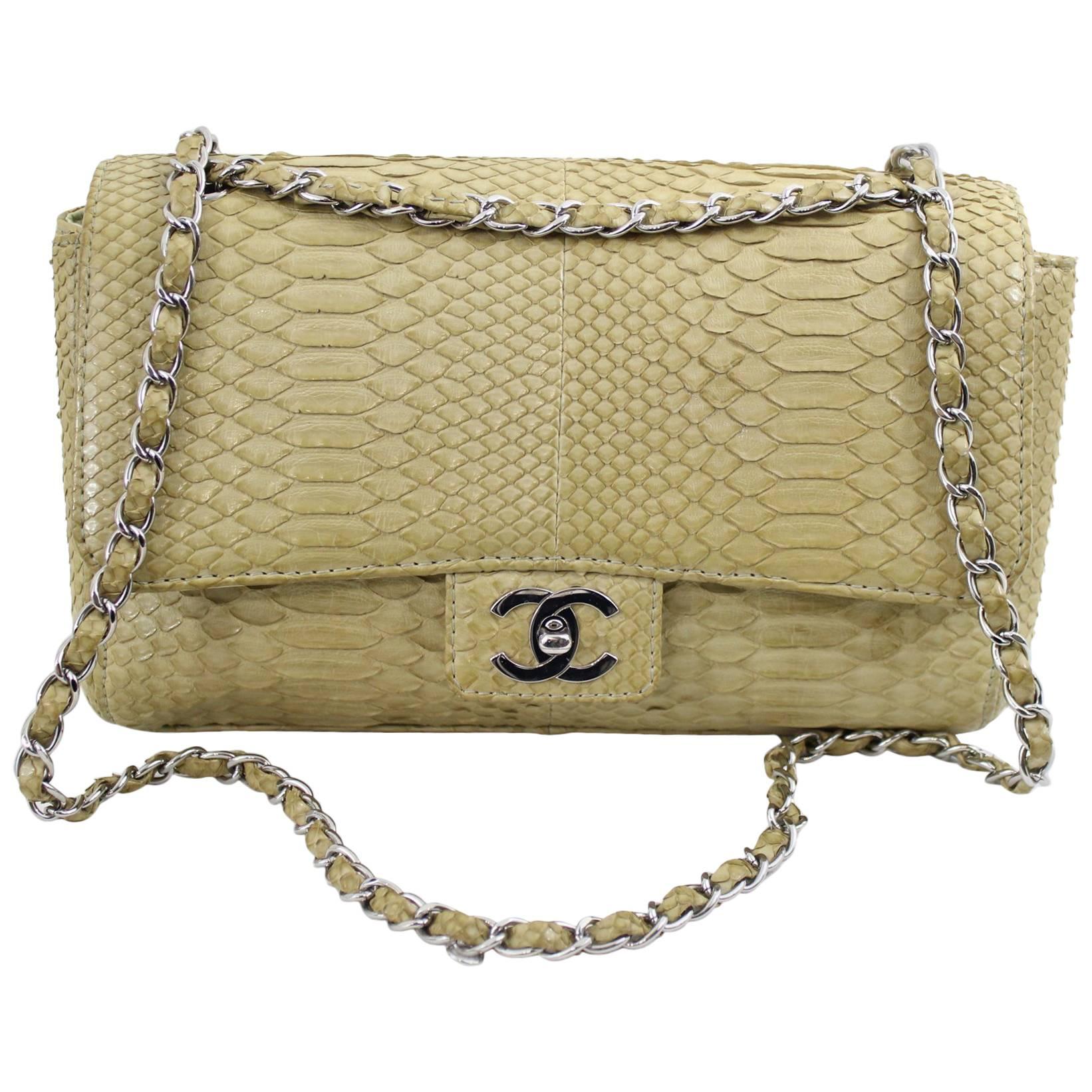 Chanel Timeless Bag in Exotic skin and stainless steel  hardware