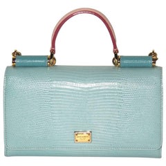 DOLCE & GABBANA Limited Edition Mini Wallet Bag
