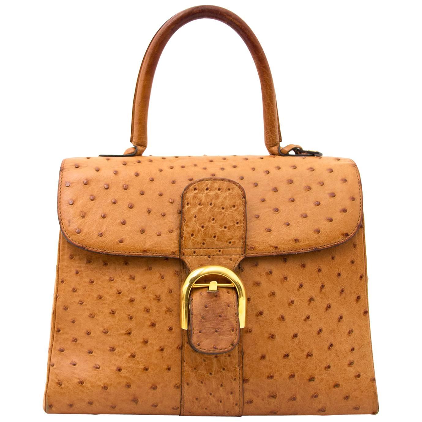 Delvaux Tempete Bag Ostrich Gold at 1stDibs
