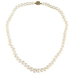 Vintage 17 in. 14k Gold Closure Water Pearl Strand Necklace