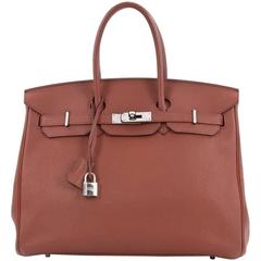 Hermes Sienne Togo with Palladium Hardware 35 Birkin Handbag 